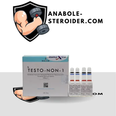 Testo-Non-1