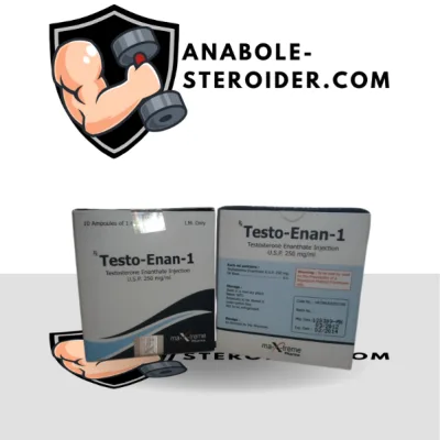 Testo-Enan amp